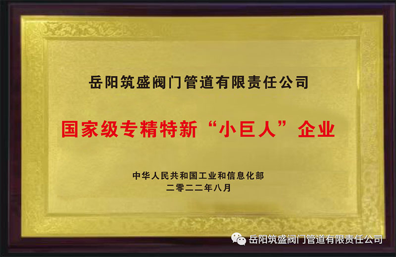 熱烈祝賀我公司榮獲國家級專精特新“小巨人”企業(yè)